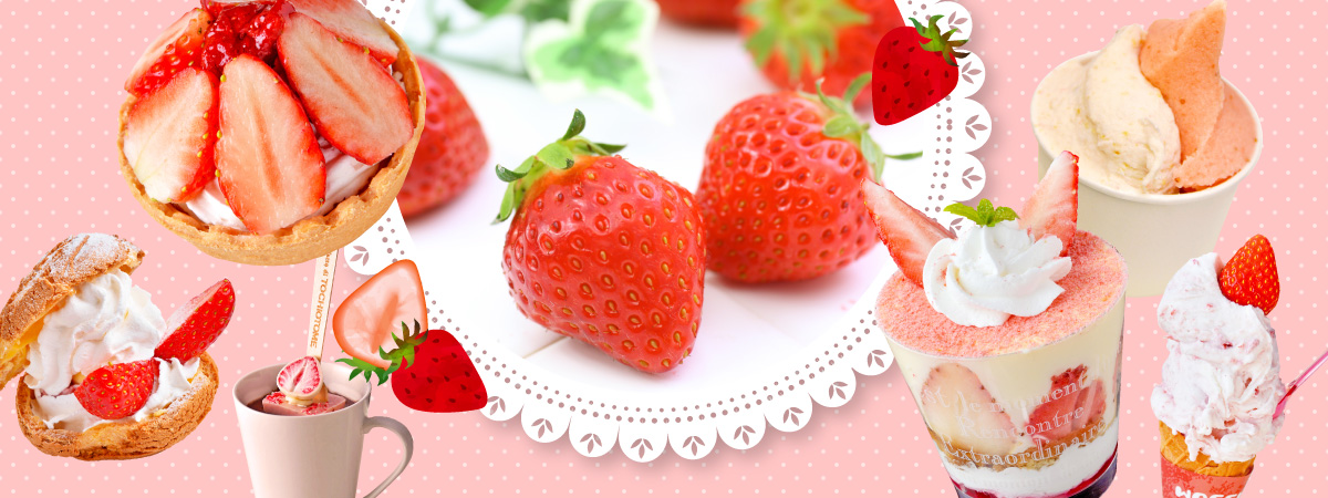 今が旬！　栃木のいちご狩りスポット